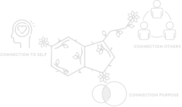 Connection Based Livings Recovery Equation - Recovery Without Rehab